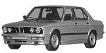 BMW E28 U250A Fault Code